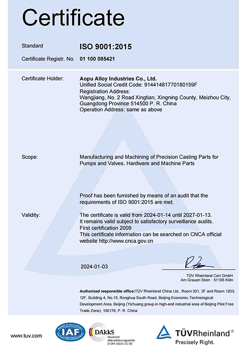 ISO9001 certificato del sistema di gestione della qualità